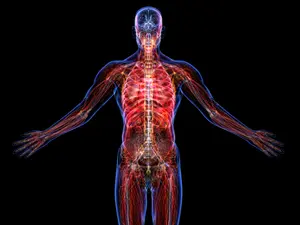 10 Shocking Facts About Your Body