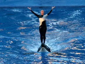 5 Terrifying Animal Attacks That Ended In Tragedy