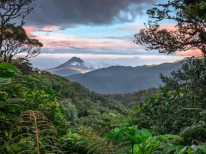 86-Year-Old Man Vanishes In Costa Rica