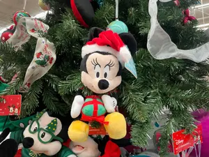 Bay Area 'Grinch' Swipes $1,200 Of Disney Christmas Decor