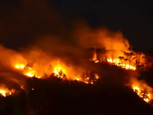 Burned Out And Let Down - Airbnb's Fire Relief Controversy