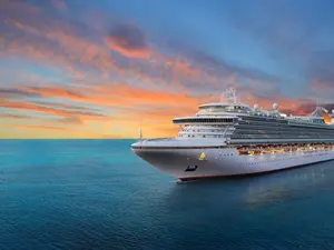 CEO Accused Of Choking Barefoot Dancer On Cruise Ship