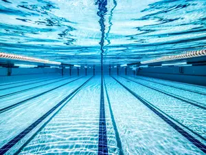 Cop Opens Pool, Finds Man He Spent Months Hunting
