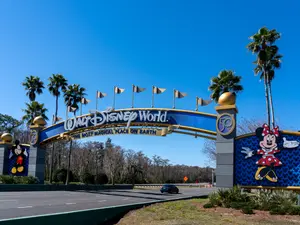 Disney Guest Denied Ride Over Bra