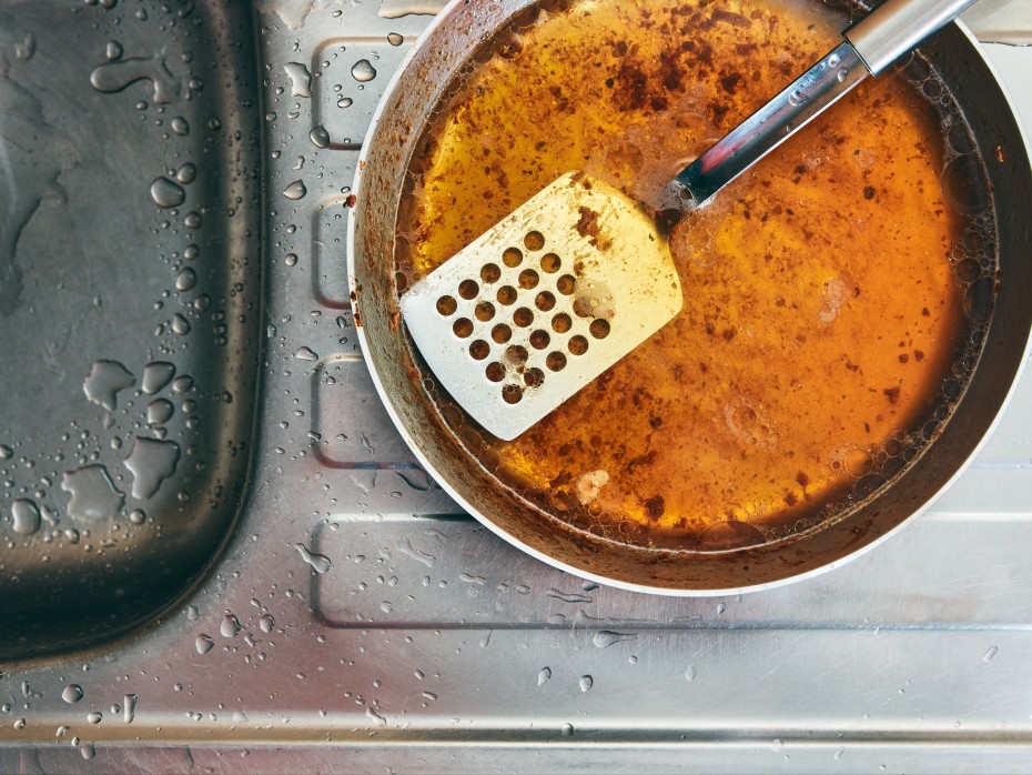 Don't Put These 10 Things Down the Drain-2