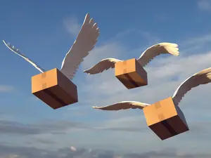 How Amazon® Delivers Packages So Quickly
