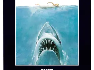 How Common Are Shark Attacks?