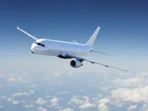 Man Slapped Flight Attendant's Butt, Exposed Genitals Mid-Flight
