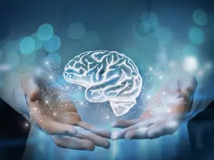 New Discoveries In The Secret To Beating Dementia