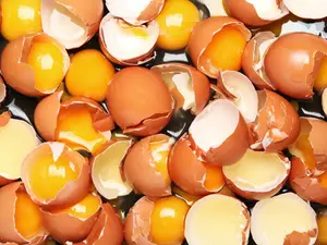 Semi Loses Load, Causing Egg-Spensive Crash On Oklahoma Turnpike