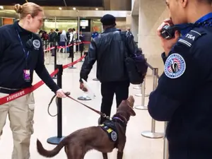 TSA Could Be Abolished - Even Amid Air Travel Disasters