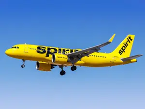 Spirit Airlines Denies Boarding Over Shorts, Sparks Outrage