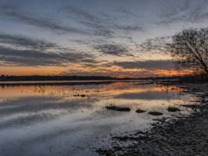 Texas Woman Arrested 24 Years After Husband Was Found Dead Near Lake Lewisville