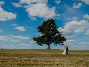 The Oak Tree That Helped Over 100 People Get Married