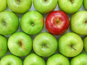 How Old Are Grocery Store Apples?