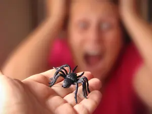 Tiny Terror: Unpacking Humanity's Fear Of Spiders