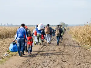 Trump's Immigration Raids Aren't Delivering The Expected Results