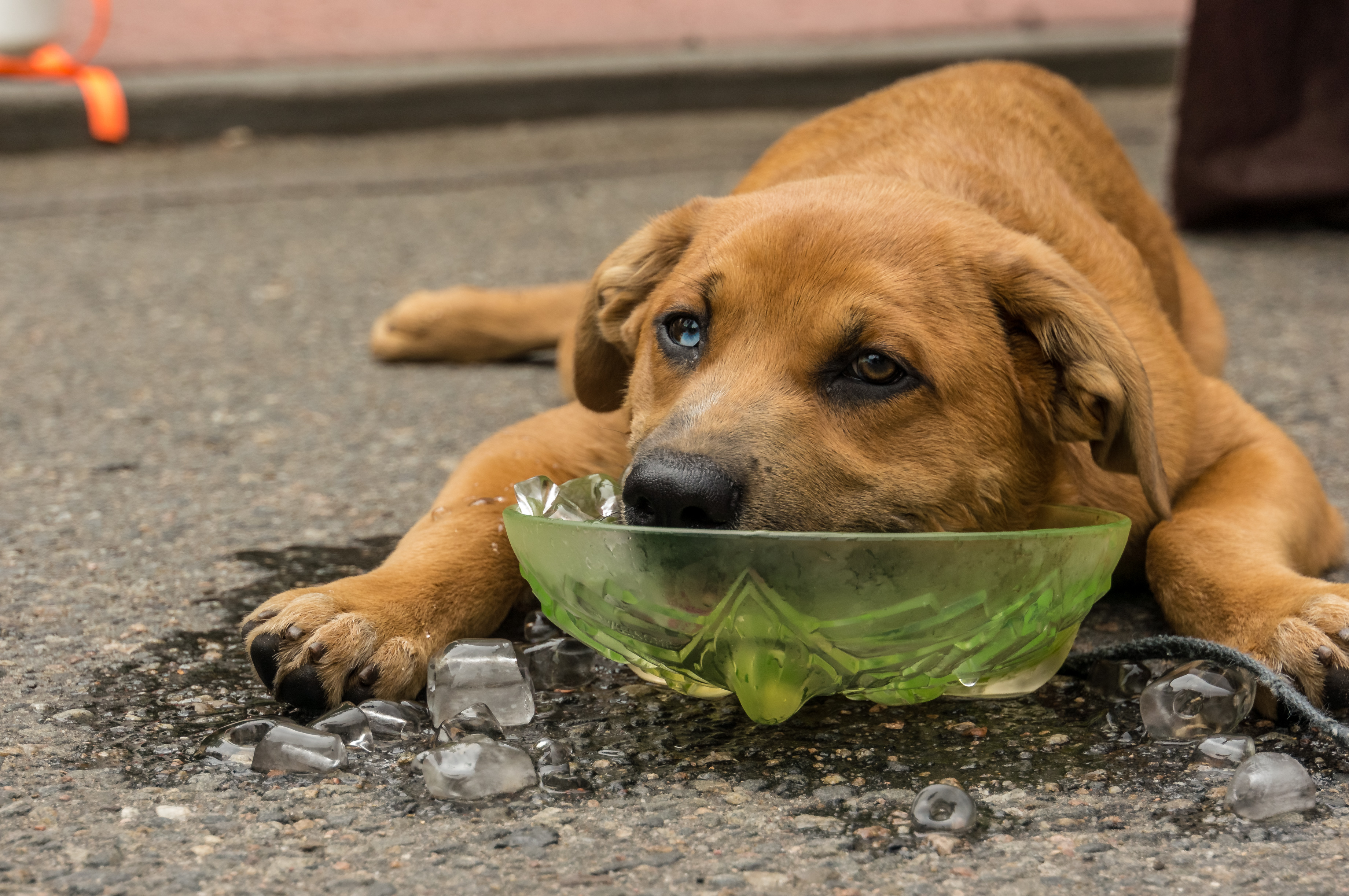 US Cities Where the Heat is Becoming Unbearable-5