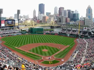 What Happened Before A Fan Plunged 20 Feet At A Baseball Game?