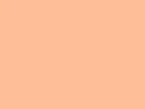 What Is The Pantone® Color Of The Year?