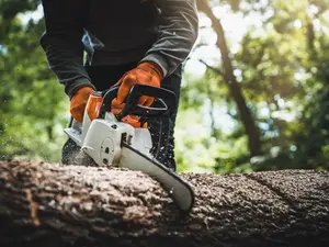 Why Were Chainsaws Invented?