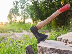 Woman Allegedly Strikes Sleeping Boyfriend With Hatchet